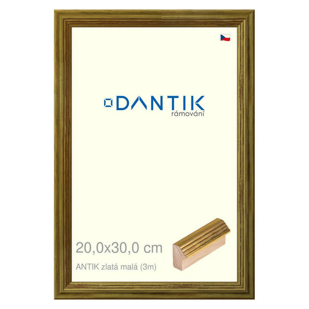 DANTIK rám na obraz 20x30 | ANTIK zlatá malá (Sklo Čiré)