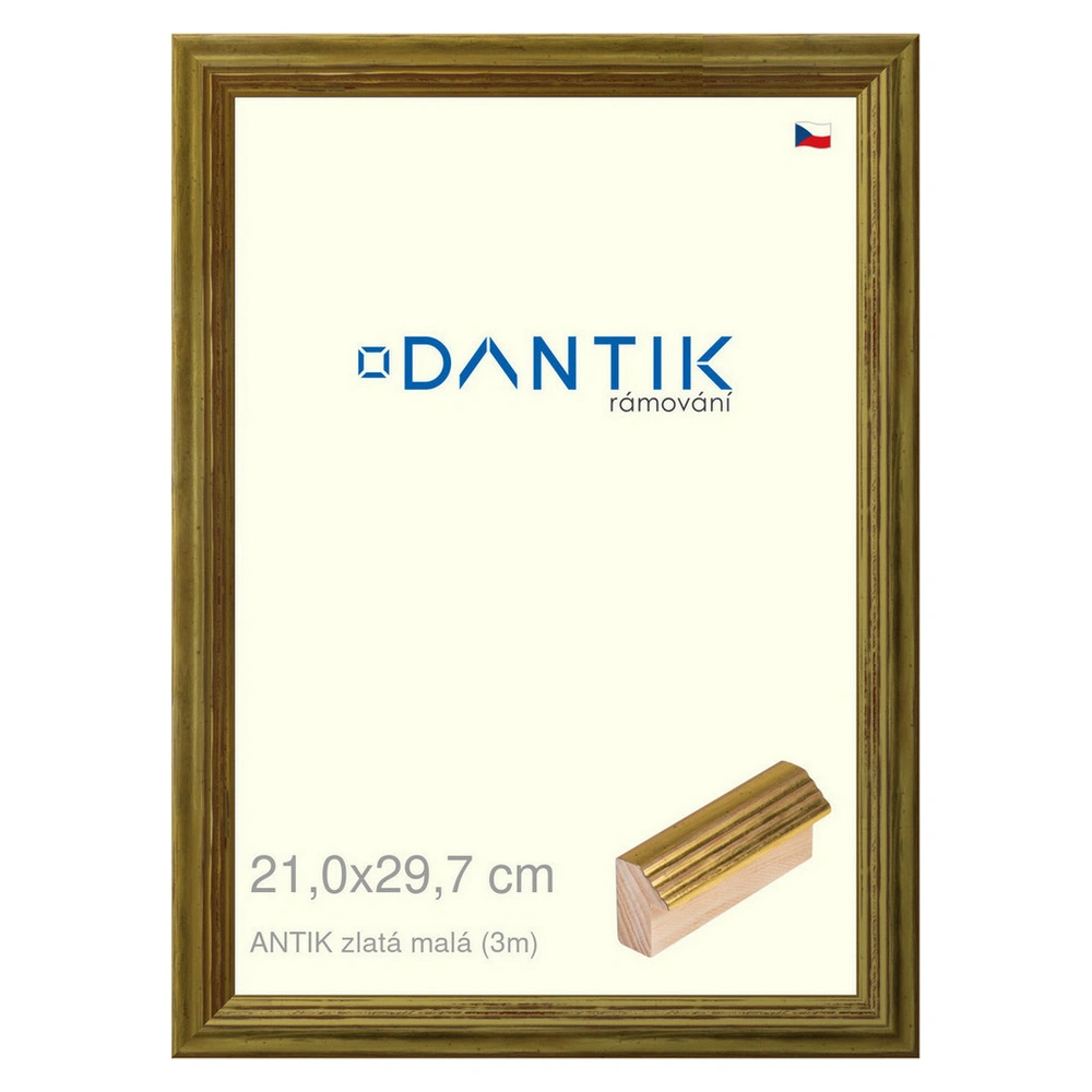DANTIK rám na obraz 21x29,7 | ANTIK zlatá malá (Sklo Čiré)