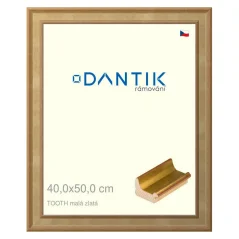 DANTIK obrázok, puzzle, fotorámik 40x50 | TOOTH malý zlatý (sklo číre)