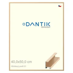DANTIK rám na obrázky, puzzle, fotografie 40x50 | ALU profil 6001 Gold Glossy (sklo číre)