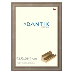DANTIK obrázok, puzzle, fotorámik 42x59,4 | TOOTH small silver (Plexi Clear)