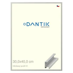 DANTIK rám na obrázky, puzzle, fotografie 30x40 | ALU profil 6001 Strieborný matný (Plexi Clear)
