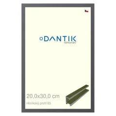 DANTIK rám na obrázky, puzzle, fotografie 20x30 | ALU profil 7003 Platinum matný (sklo číre)