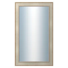 DANTIK - Zarámované zrkadlo - rozmer s rámom cca 60x100 cm z lišty TOOTH strieborná (2779)