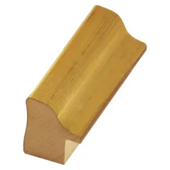 Rámová lišta DANTIK - 2898 - DELFINO zlatá