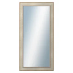 DANTIK - Zarámované zrkadlo - rozmer s rámom cca 60x120 cm z lišty TOOTH strieborná (2779)