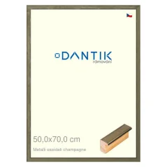 DANTIK obraz, puzzle, fotorámik 50x70 | Metalli oidati champagne (Plexi Clear)