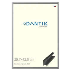 DANTIK rám na obrázky, puzzle, fotografie 29,7x42 | ALU profil 7269 Sivá lesklá (Plexi Clear)