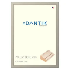 DANTIK obraz, puzzle, fotorámik 70x100 | STEP white (Plexi Clear)