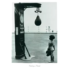 Reprodukcia Webber Carolina - Packing a Punch - 50x70