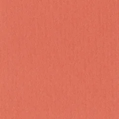 Paspartovací kartón DANTIK - MUS245 (Korálová oranžová)