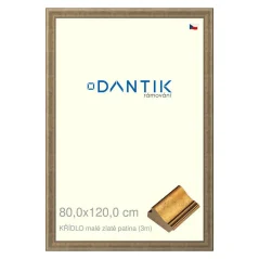 DANTIK obraz, puzzle, fotorámik 80x120 | WING small gold patina (Plexi Clear)