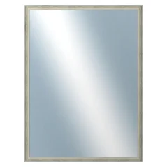 DANTIK - Zarámované zrkadlo - rozmer s rámom cca 60x80 cm z lišty DELFINO strieborná (2897)