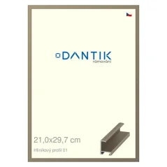 DANTIK rámeček na obraz, puzzle, fotku 21x29,7 | ALU profil 6001 champagne (Sklo Čiré)