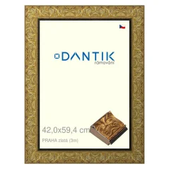 DANTIK obraz, puzzle, fotorámik 42x59,4 | PRAHA gold (Plexi Clear)