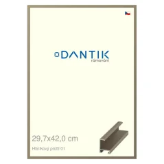 DANTIK rám na obrázky, puzzle, fotografie 29,7x42 | ALU profil 6001 champagne (Plexi Clear)