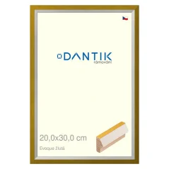 DANTIK obraz, puzzle, fotorámik 20x30 | EVOQUE žltá (sklo číre)
