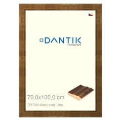 DANTIK rám na obrázky, puzzle, fotografie 70x100 | TRITON široký zlatý (Plexi Clear)
