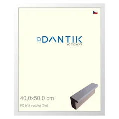 DANTIK obraz, puzzle, fotorámik 40x50 | FC White high (Glass Clear)