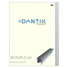 DANTIK rám na obrázky, puzzle, fotografie 30x40 | ALU profil 7005 Strieborný matný (Plexi Clear)