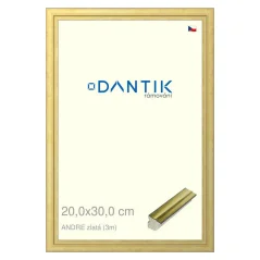 DANTIK obrázok, puzzle, fotorámik 20x30 | ANDRE gold (sklo číre)