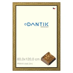 DANTIK obraz, puzzle, fotorámik 80x120 | PRAHA gold (Plexi Clear)