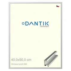 DANTIK rám na obrázky, puzzle, fotografie 40x50 | ALU profil 7269 Strieborný matný (sklo číre)