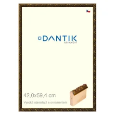 DANTIK obraz, puzzle, fotorám 42x59,4 | Vysoké staré zlato s ornamentom (Plexi číre)