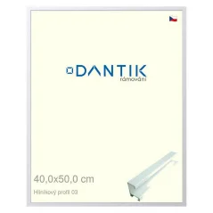 DANTIK rám na obrázky, puzzle, fotografie 40x50 | ALU profil 7003 biely matný (sklo číre)