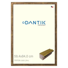 DANTIK obrázok, puzzle, fotorámik 59,4x84 | TRITON zlatý (Plexi Clear)