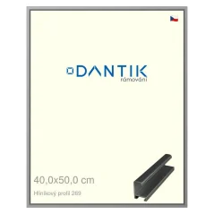 DANTIK rám na obrázky, puzzle, fotografie 40x50 | ALU profil 7269 Sivá lesklá (sklo číre)