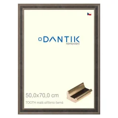 DANTIK rám na obrázky, puzzle, fotografie 50x70 | TOOTH malý strieborný a čierny (Plexi Clear)