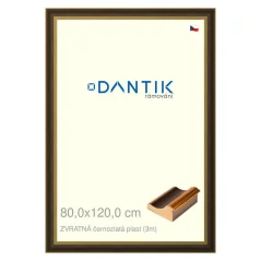 DANTIK rám na obrázky, puzzle, fotografie 80x120 | BACK čierny a zlatý plast (Plexi Clear)
