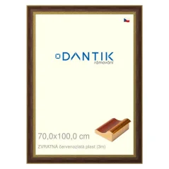 DANTIK obraz, puzzle, fotorám 70x100 | BACK červeno-zlatý plast (Plexi Clear)
