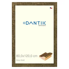 DANTIK obrázok, puzzle, fotorámik 80x120 | Dora Gold (Plexi Clear)