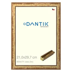 DANTIK obrázok, puzzle, fotorámik 21x29,7 | BEAUTY gold (Glass Clear)