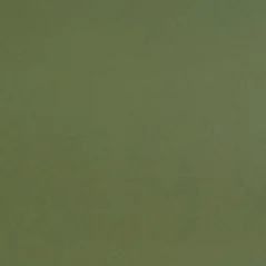 Paspartovací kartón DANTIK - MUS286 (mechová zelená)