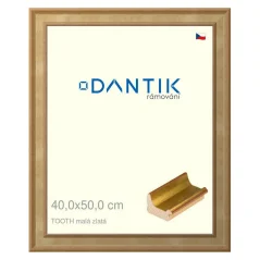 DANTIK obraz, puzzle, fotorámik 40x50 | TOOTH small gold (Plexi Clear)