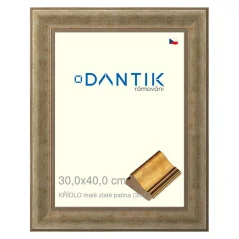 DANTIK obraz, puzzle, fotorámik 30x40 | WING small gold patina (Plexi Clear)