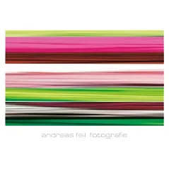 Reprodukcia Feil Andreas - Fotografie II - 138x95