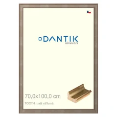 DANTIK obrázok, puzzle, fotorámik 70x100 | TOOTH small silver (Plexi Clear)