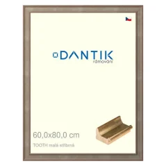 DANTIK obrázok, puzzle, fotorámik 60x80 | TOOTH small silver (Plexi Clear)
