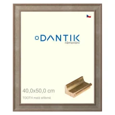 DANTIK obrázok, puzzle, fotorámik 40x50 | TOOTH small silver (Plexi Clear)