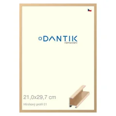 DANTIK rámeček na obraz, puzzle, fotku 21x29,7 | ALU profil 6001 Zlatá lesklá (Sklo Čiré)