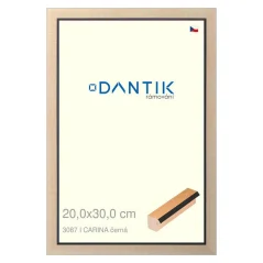 DANTIK rám na obrázky, puzzle, fotografie 20x30 | CARINA čierna (sklo číre)