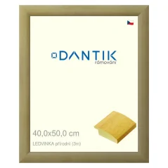 DANTIK obraz, puzzle, fotorámik 40x50 | LEDVINKA prírodná (sklo číre)