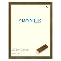 DANTIK obraz, puzzle, fotorámik 30x40 | Moss gold (Plexi Clear)