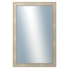 DANTIK - Zarámované zrkadlo - rozmer s rámom cca 80x120 cm z lišty TOOTH strieborná (2779)
