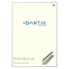 DANTIK rám na obrázky, puzzle, fotografie 70x100 | ALU profil 7269 Strieborný matný (Plexi Clear)