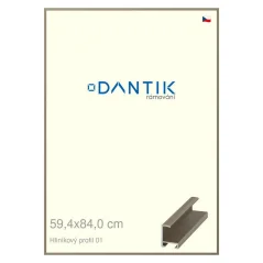 DANTIK rám na obrázky, puzzle, fotografie 59,4x84 | ALU profil 6001 champagne (Plexi Clear)